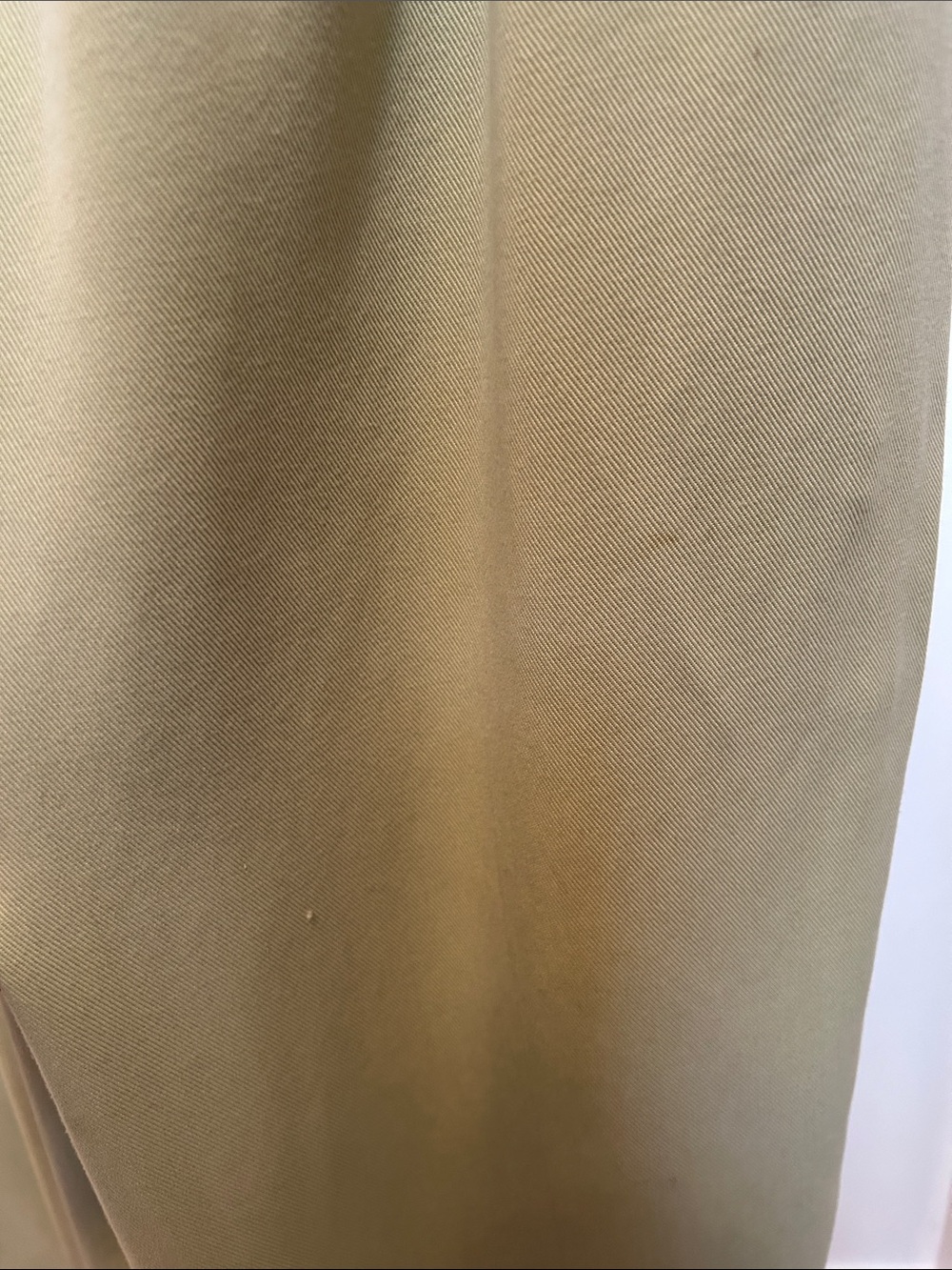 Democracy Pants - Picture 2 of 6